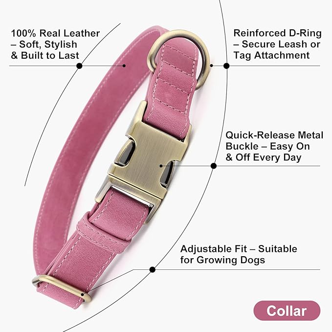 Plutus Pet Genuine Leather Dog Collar – Adjustable Pet Collar with Quick Release Metal Buckle, Soft Real Leather for Small Medium Large Dogs, Heavy Duty & Skin-Friendly (Pink, M)