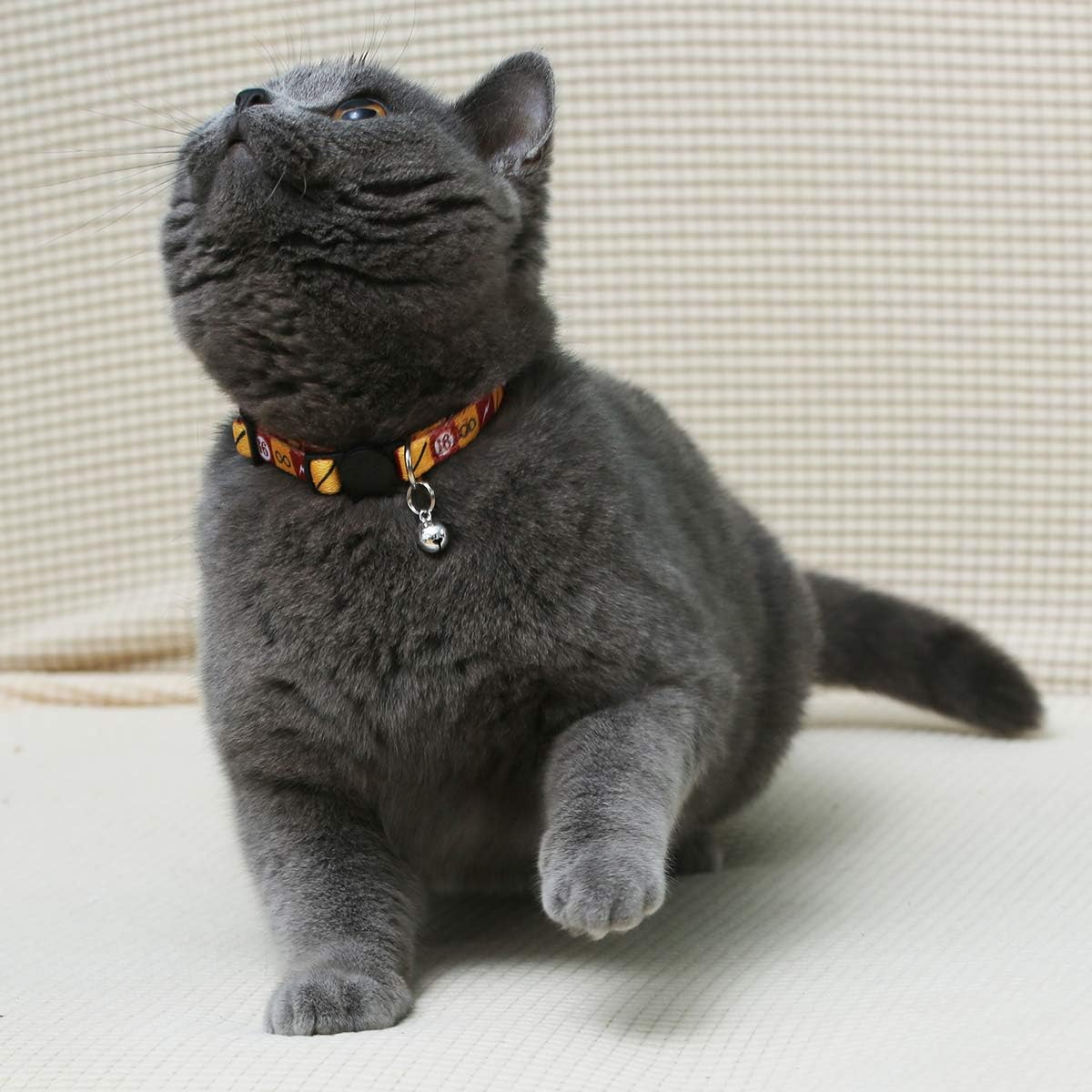 2PCS Breakaway Cat Collar with Cute Bell Adjustable Kitty Safety Collars Adjustable from 7-11 Inch (Red,Neck:7"-11")