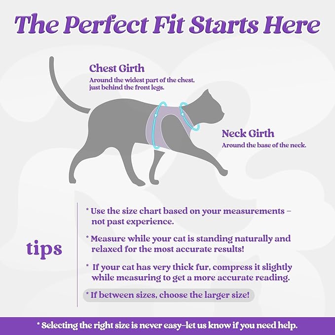 rabbitgoo Cat Harness and Leash Set for Walking Escape Proof, Adjustable Soft Kittens Vest with Reflective Strip for Cats, Comfortable Outdoor Vest, Purple, M