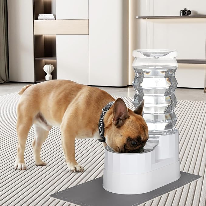 RIZZARI Automatic Pet Waterer, Gravity Stainless Steel Water Dispenser, 100% BPA-Free, Large Capacity Water Feeder for Cats and Small and Medium-Sized Dogs (8L, Bright White)