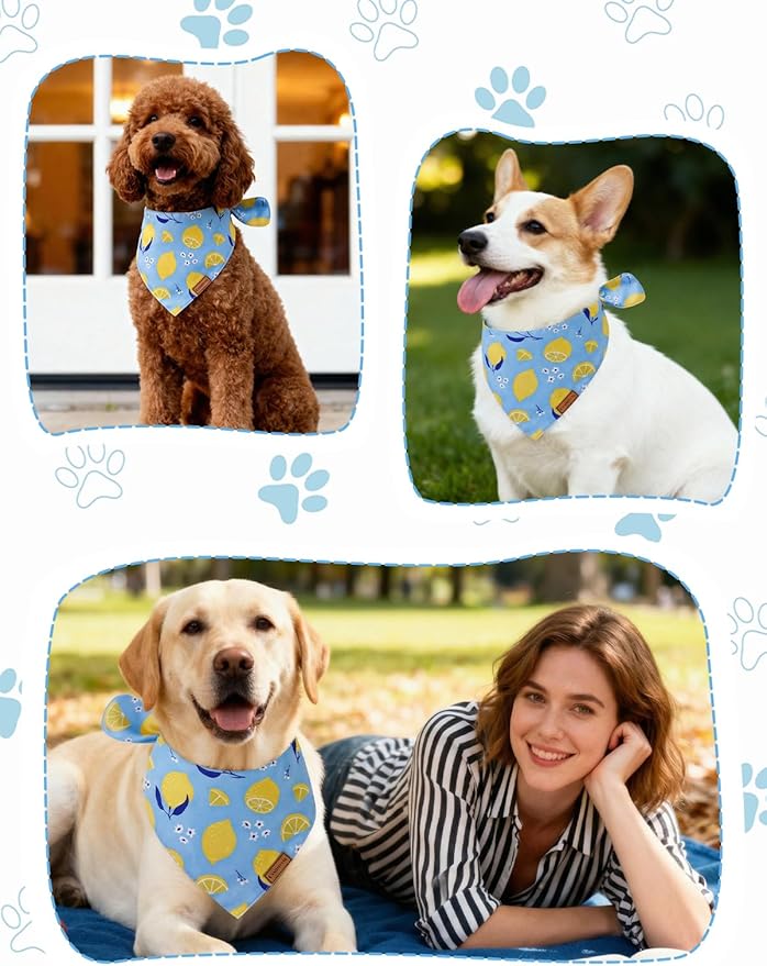 Luxury Double-Layer Dog Birthday Bandana – Handmade, Silk-Soft Polyester for All Dog Sizes | Birthday & Party Outfit | Gift-Ready Pet Accessory(Yellow, Small)