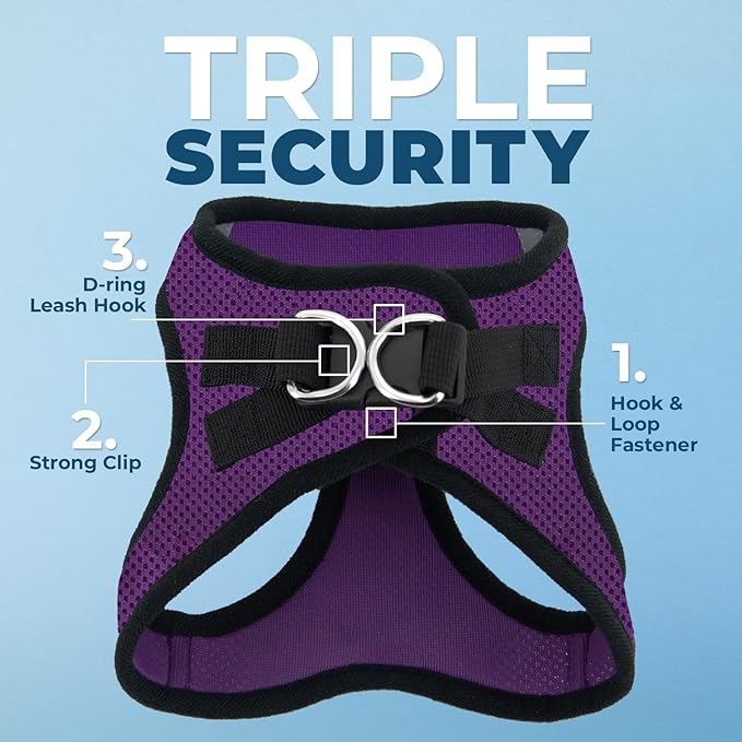 Best Pet Supplies Voyager Step-in Air Harness - All Weather Mesh, Reflective, No Pull Harness for Dogs, Cats - Secure with Hook & Loop Fastener, Buckle, Double D-Rings - Purple/Black Trim, M
