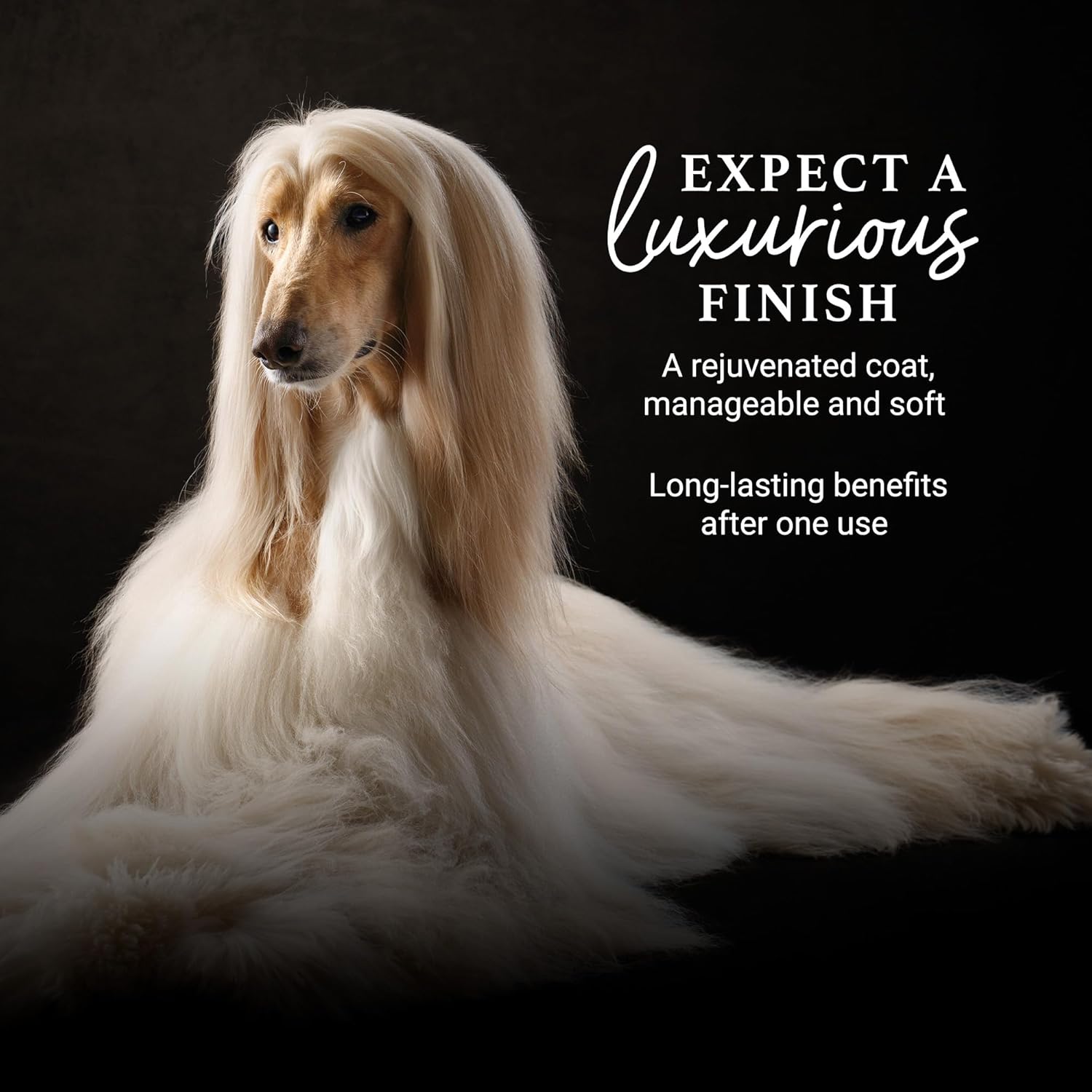iGroom Deshedding & Detangling Dog Conditioner, Luxury Pet Beauty Care, Loosen Tangles + Unwanted Undercoat, Adds Shine + Volume, Made in USA (16 OZ)
