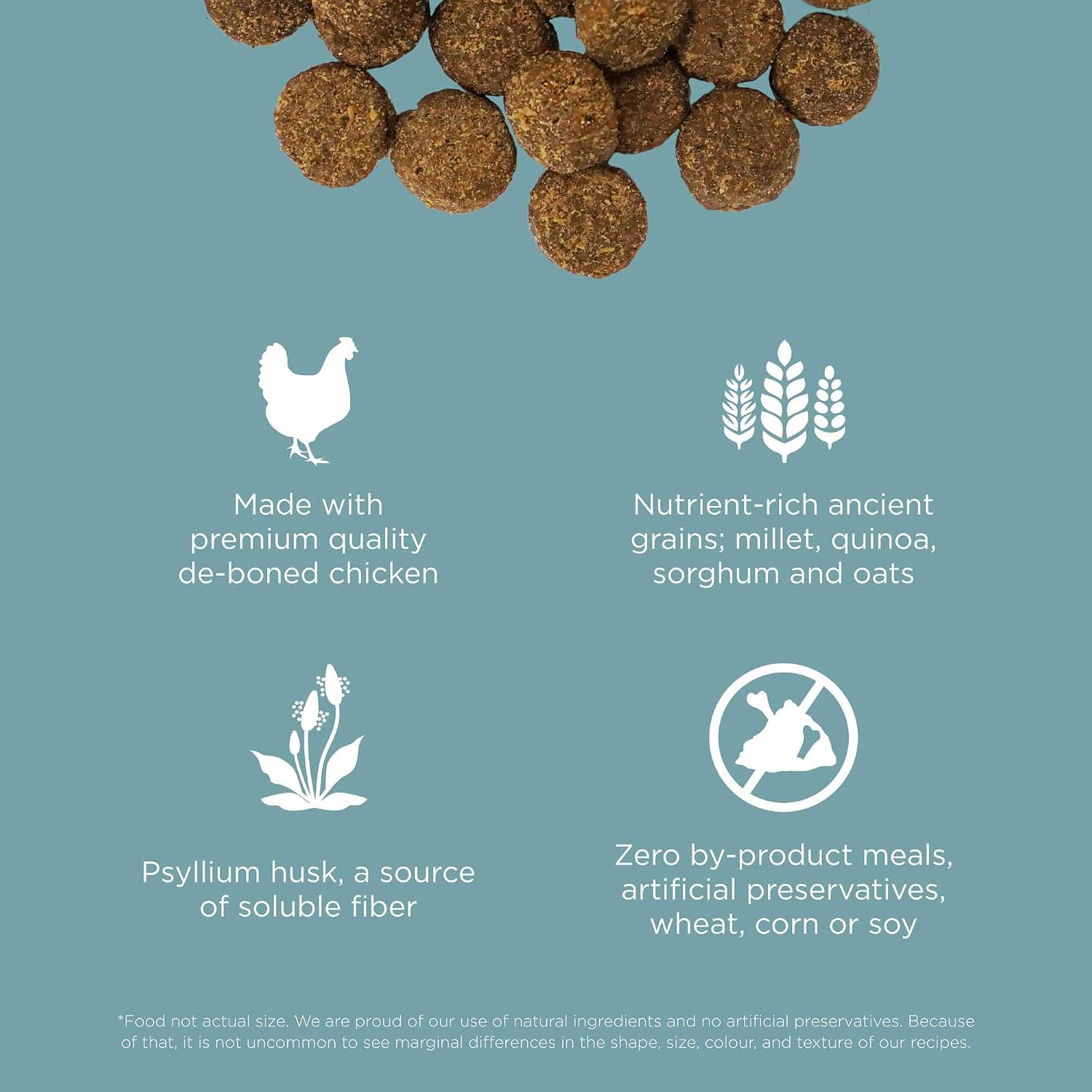 Go! Solutions Digestion + Gut Health Chicken Dry Dog Food, 3.5 lb | Fiber-Rich Kibble for Gastrointestinal & Digestive Wellness, Supports Sensitive Stomachs, For Puppies, Adults & Seniors