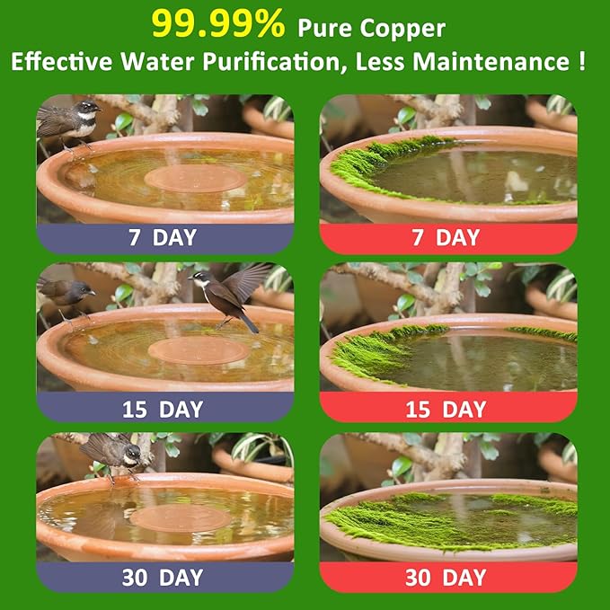 Bird Bath Copper Disk, 99.99% Pure Copper with Triple-Point Support, Physical Safe Clean Water for Outdoor Birdbaths & Bowls, All-Season Use, Reinforced Design