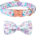 Lionheart glory Purple Dog Collar, Adjustable Dog Collar with Bowtie, Pet Gift Collar for Dog Soft Bowtie Dog Collars for Medium Dogs