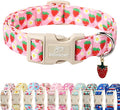 Cute Spring/Summer Dog Collar, Adjustable Pink Strawberry Dog Collars for Small Dogs, Lightweight Quick-Release Buckle Collar for Boy&Girl Dogs S