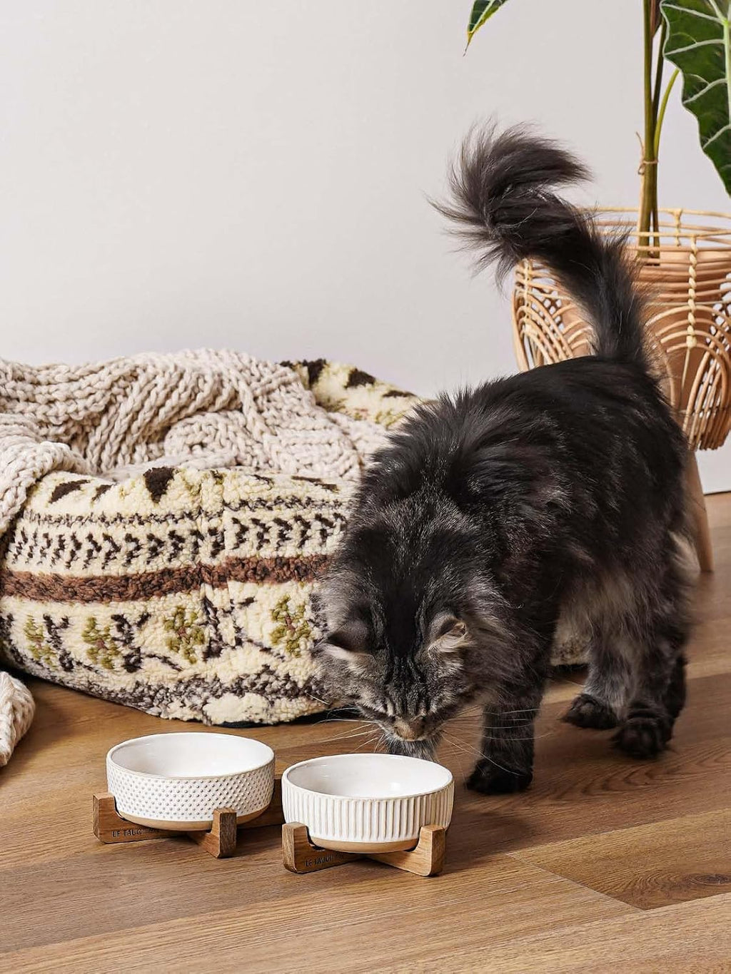 Ceramic Dog and Cat Bowl Set with Acacia Wood Stand - 2 Cup Weighted Non-Slip Food and Water Bowls for Small Dogs & Cats, Lines + Dot