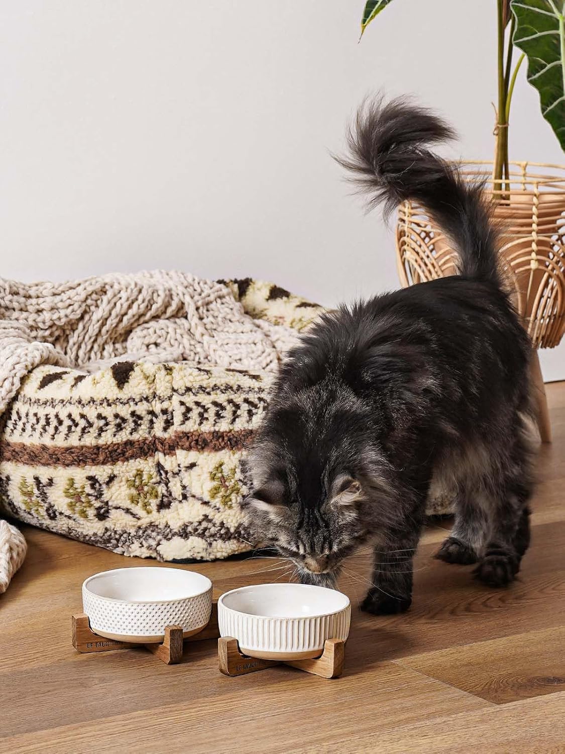 Ceramic Dog and Cat Bowl Set with Acacia Wood Stand - 2 Cup Weighted Non-Slip Food and Water Bowls for Small Dogs & Cats, Lines + Dot