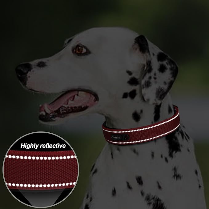 PetiFine Dog Collar with Metal Buckle, Heavy Duty Dog Collar with Soft Neoprene Padded, Adjustable Reflective Nylon Dog Collars for Small Medium Large Dogs, Red,S