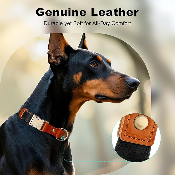 Plutus Pet Genuine Leather & Hemp Dog Collar – Adjustable Heavy Duty Pet Collar with Quick Release Metal Buckle, Soft & Stylish for Puppy and Small, Medium, Large Dogs (Black, XS)