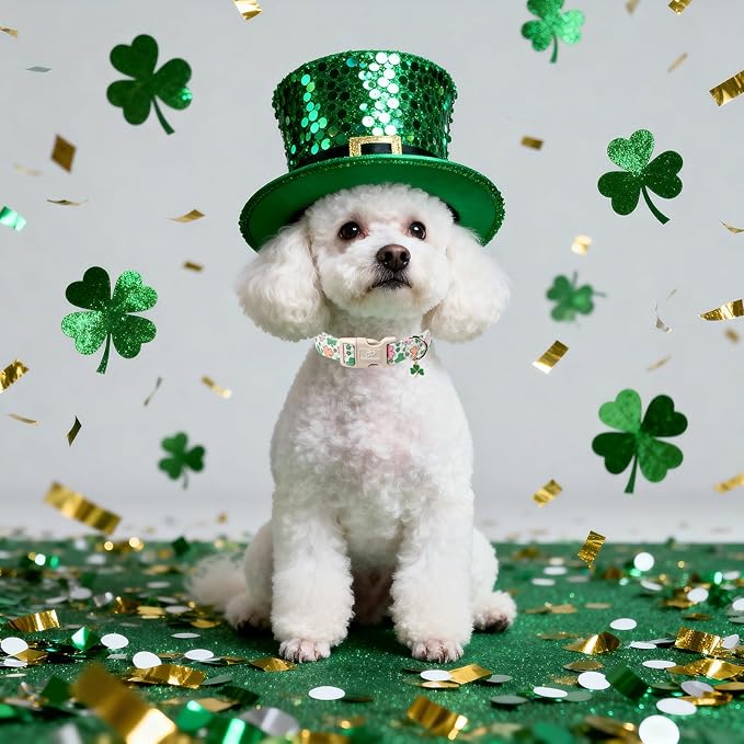 St Patricks Day Dog Collar for Puppy Small Dogs - Cute Pastel Lucky Clover Dog Collars, Lightweight Adjustable Irish Green Festival Dogs Collars with Quick Release Buckle XS