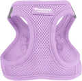 Downtown Pet Supply Step in Dog Harness for Small Dogs - Adjustable, Escape Proof Dog Harness with Reflective Trim - All-Weather, Fast-Drying Padded Mesh Fabric - Lilac, XXS