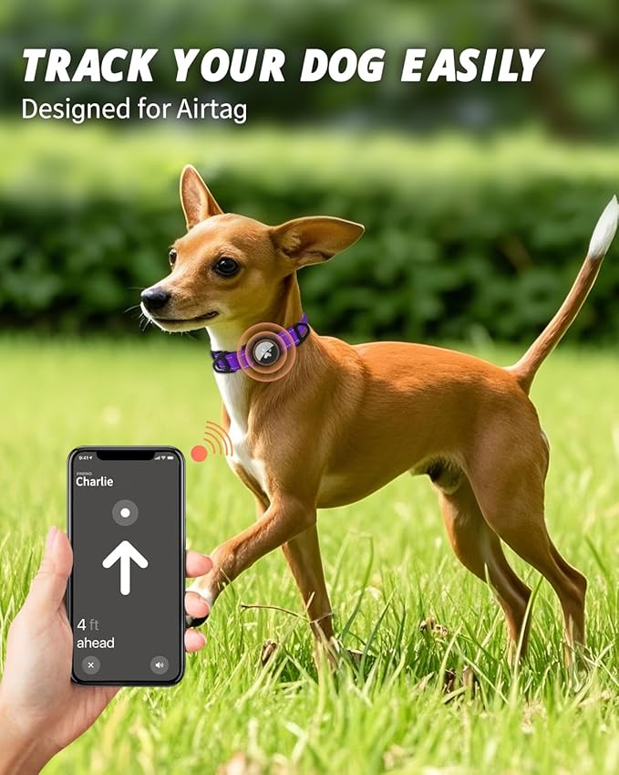 Joytale Airtag Dog Collar, Reflective Pet Collar with Waterproof AirTag Holder, Dual D-Rings, Soft Padded Adjustable for Extra Small and Puppy Dogs, Purple, XS