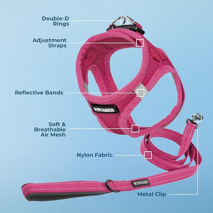 Best Pet Supplies Voyager Step-in Air All Weather Mesh Harness and Reflective Dog 5 ft Leash Combo with Neoprene Handle, for Small, Medium and Large Breed Puppies - Set (Fuchsia), XS