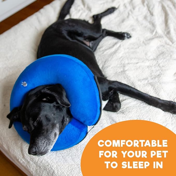 BENCMATE Inflatable Dog Cone Collar Alternative, Soft Dog Cone for Small Medium Large Dogs and Cats, Neck Recovery ECollar Donut Collar After Surgery (Medium+, Donut-Blue)