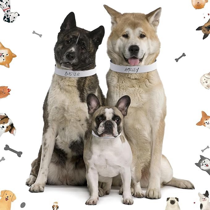 500 Count 20inch Adjustable Paper Dog Collars with Tear Resistant Waterproof Whelping Collars Paper Puppy ID Bands Adhesive Pet Identification Tags for Newborn Dog Cat Hospitals(White)