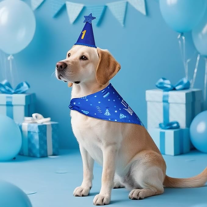 Dog Birthday Party Supplies, Blue Dog Birthday Set with Hat Bandana Numbers for XLarge Large Boy Pets Puppy