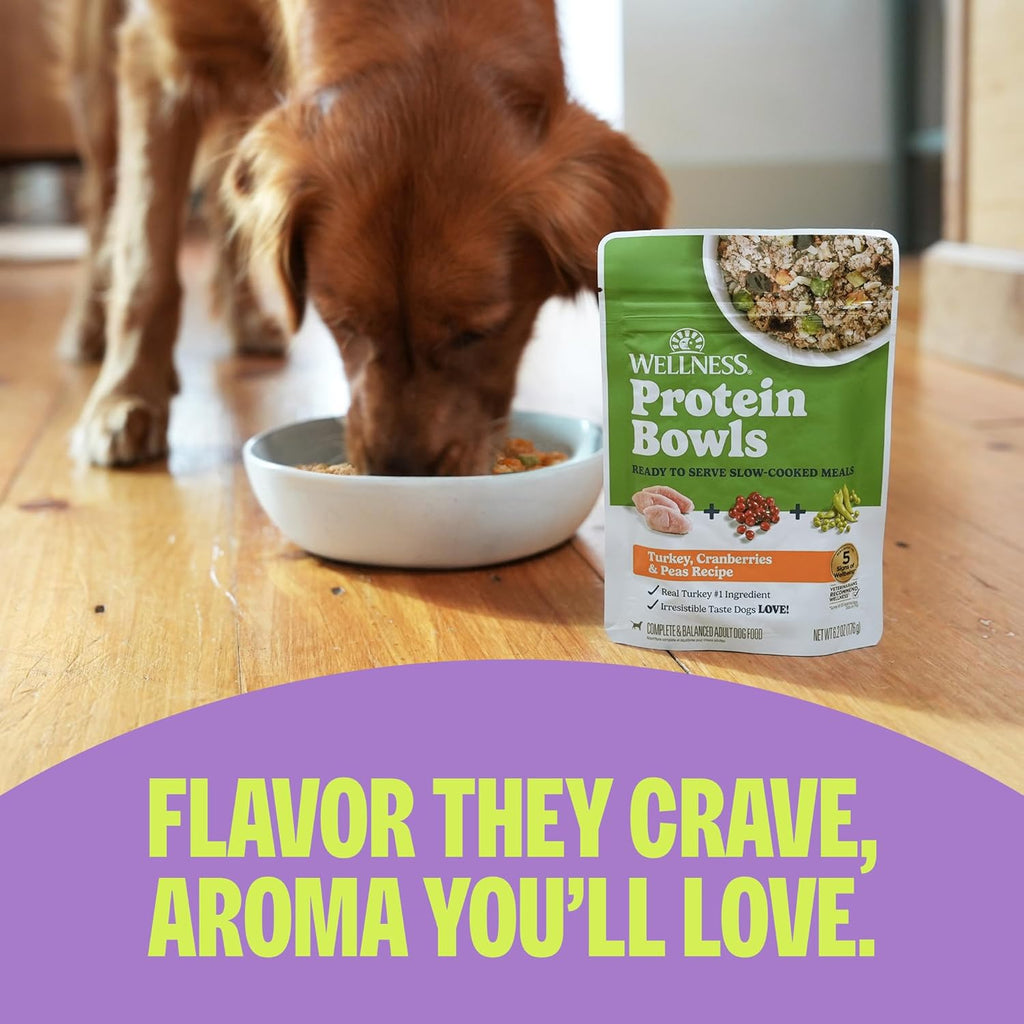 Wellness Protein Bowls Adult Wet Dog Food, Fresh Alternative, Wholesome Grains, Natural, Lamb, Red Rice, and Peas Recipe, 6.2 oz, Pack of 6 Pouches