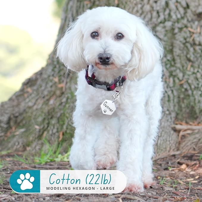 Ultra Joys Dog Tags Personalized for Pets - Hollow Paw Custom Pet ID Tag - Engraved Dog Tag for Small, Large Dogs - Large Hexagon in Rose