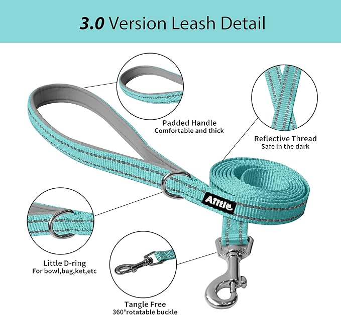 AIITLE Small Harness for Puppy with A Leash - Dog Vest Harness with Super Breathable Mesh, Reflective No-Pull Pet Harness for Outdoor Walking, Running for Small Dogs, Cats Pure Turquoise XXS