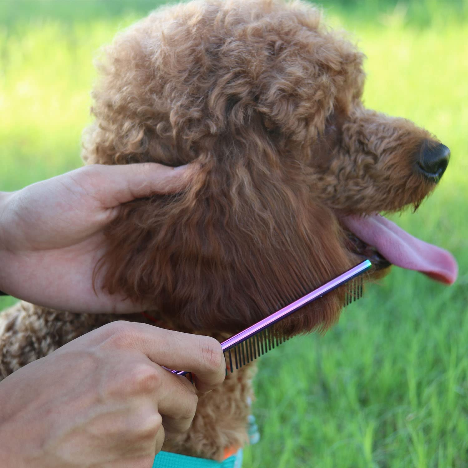 ROPO Dog Comb for Removing Matted Fur - Pet Dematting Comb with Rounded Teeth and Non-Slip Grip Handle - Prevents Knots and Mats for Long and Short Haired Pets (Round handle, Colour)