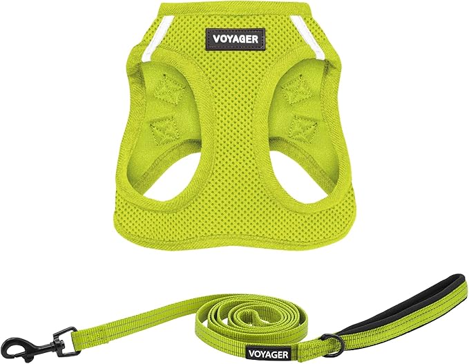 Best Pet Supplies Voyager Step-in Air All Weather Mesh Harness and Reflective Dog 5 ft Leash Combo with Neoprene Handle, for Small, Medium and Large Breed Puppies - Set (Lime Green), XL