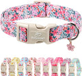 Floral Dog Collar, Cute Girl Dog Collars - Pastel Wildflowers Pattern Spring Summer Puppy Collar, Adjustable Female Dog Collars for Small Medium Large Dogs S