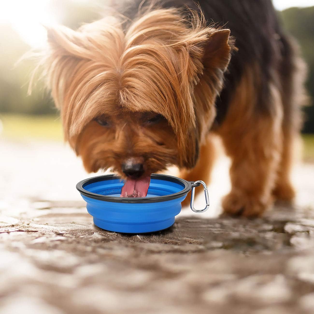 Kytely Large Collapsible Dog Bowls 2 Pack, 34oz Foldable Dog Travel Bowl, Portable Pet Water Food Bowl with Clasp, Pet Cat Feeding Cup Dish for Traveling, Walking, Hiking (Black+Blue)