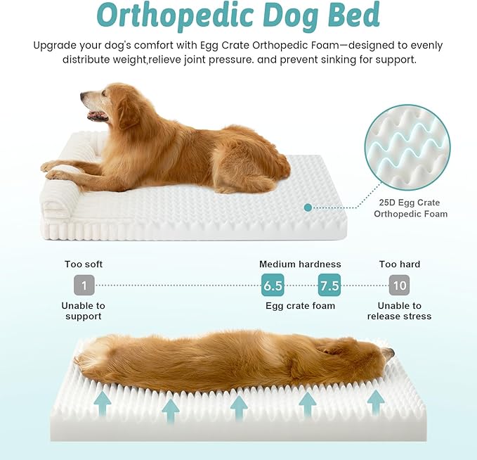 Cute Dog Bed for Medium Dogs, Faux Rabbit Fur Orthopedic Foam Dog Bed with Sides, Removable Washable Cover & Waterproof Lining, Comfortable Pet Couch, Cream (36" L x 27" W x 6.5" Th)