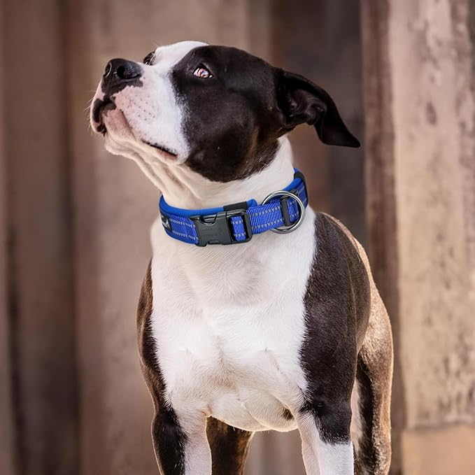 EXCELLENT ELITE SPANKER Reflective Dog Collar Classic Soft Padded Breathable Nylon Adjustable Pet Collar with Quick Release Buckle for Boy Girl Male Female Small Medium Large Dogs Training(LBLU-S)