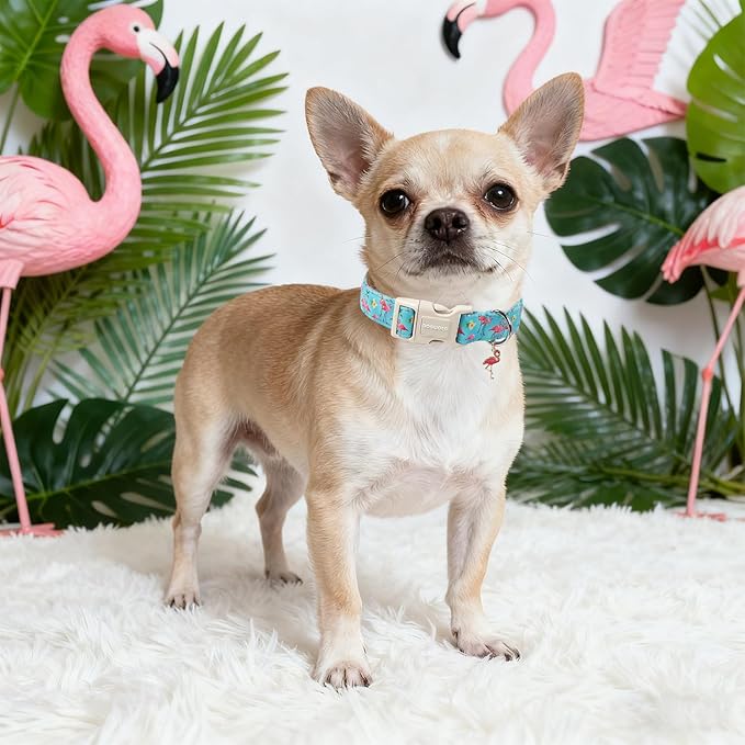 DOGWONG Spring Summer Dog Collar-Cute Flamingo Dog Collar, Adjustable Soft Beach Hawaiian Dogs Collars for Small Dogs, S