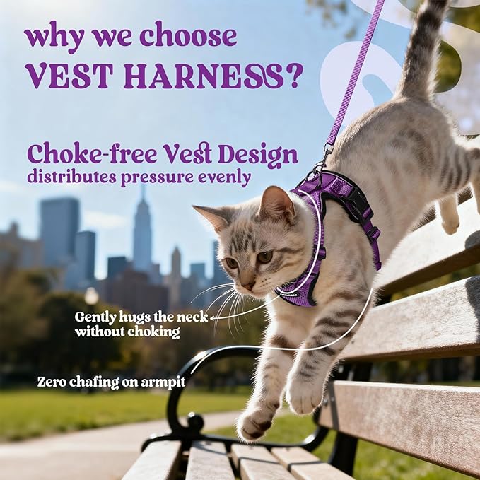 rabbitgoo Cat Harness and Leash for Walking, Escape Proof Soft Adjustable Vest Harnesses for Cats, Easy Control Breathable Reflective Strips Jacket, Purple, XXS