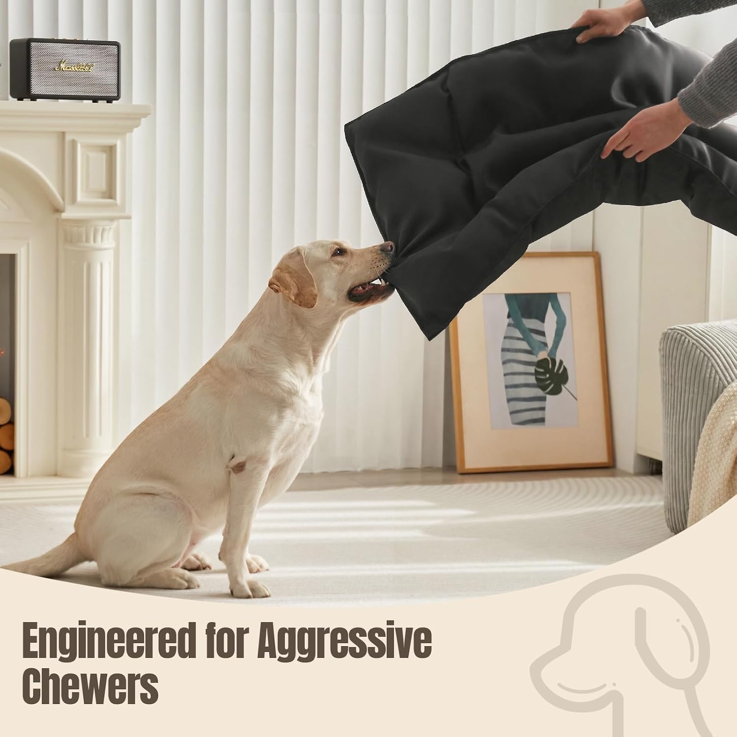 Chew Proof Dog Bed Crate Pad for Aggressive Chewers, 17"x23" | Indestructible Dog Bed, Kennel Mat, Heavy Duty, Tough & Durable, Waterproof, Machine Washable, Indoor & Outdoor,Black,X-Small