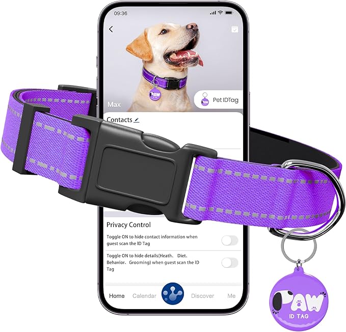 Reflective Dog Collar for Small Dogs with Dog Tags Personalized & Quick Release Buckle, Adjustable and Comfortable Nylon Pet Collar, Purple