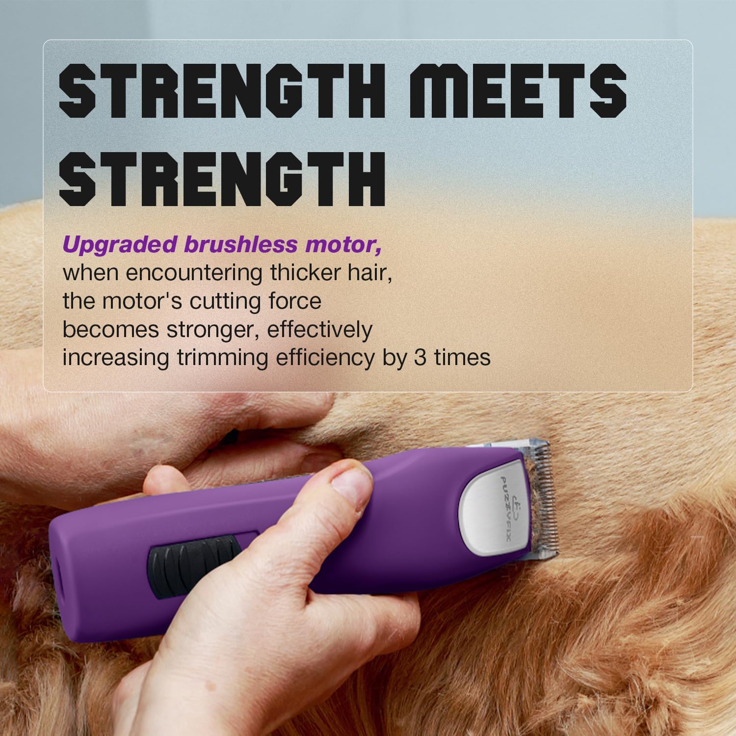 Professional Dog Clippers for Grooming - 2 Speed Pet Grooming Kit for Thick Curly Matted Coats - Low Noise Heavy Duty Cordless Hair Trimmer with Detachable Metal Blade