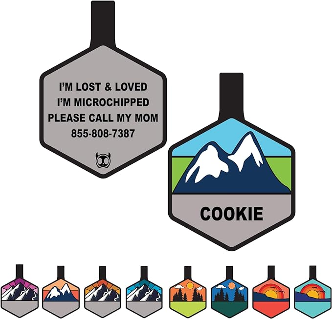 Silent Dog Tag Personalized with 5 Lines of Custom Deep Engraved Durable Soundless Silicone Pet ID Name Tag Hexagon Snow Mountain Boy