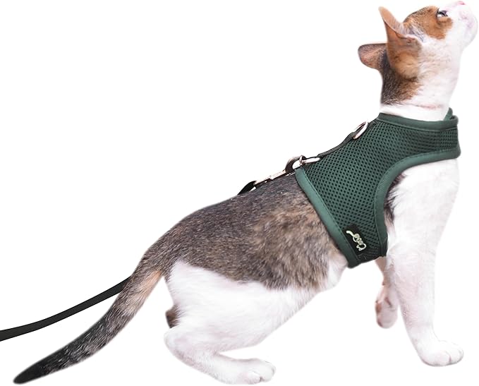 Cat Harness and Leash for Walking Escape Proof Breathable Mesh Fabric, Solid Green, Medium, Adjustable Cat Walking Jackets, Padded Stylish Cat Vest