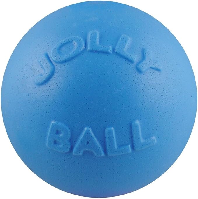 Jolly Pets Bounce-n-Play Dog Toy Ball, 8 Inches/Large, Blueberry, (Model: 2508 BB)