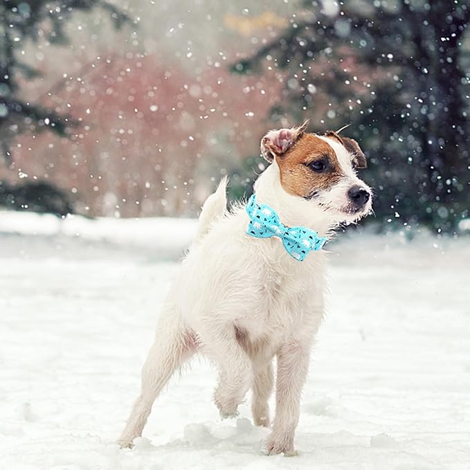 Dog Collar-Bow Dog Collar Blue Bear Pattern Pet Collar Dog Cute Bow Tie Soft Girl Boy Dog Collars with Metal Buckle Wonderful Gift for X-Small Puppy