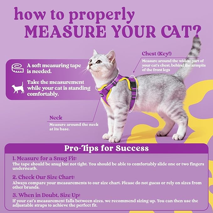 rabbitgoo Cat Harness and Leash for Walking, Escape Proof Soft Adjustable Vest Harnesses for Cats, Easy Control Breathable Reflective Strips Jacket, Purple&Yellow, M