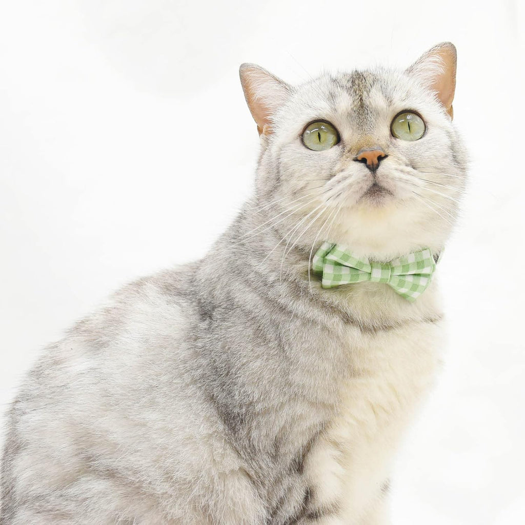 Bowtie Cat Collars Breakaway with Bell, Adjustable Cute Kitty Collars Safety Buckle Kitten Collar for Cat Puppy 7.5-11in (Green Plaid)