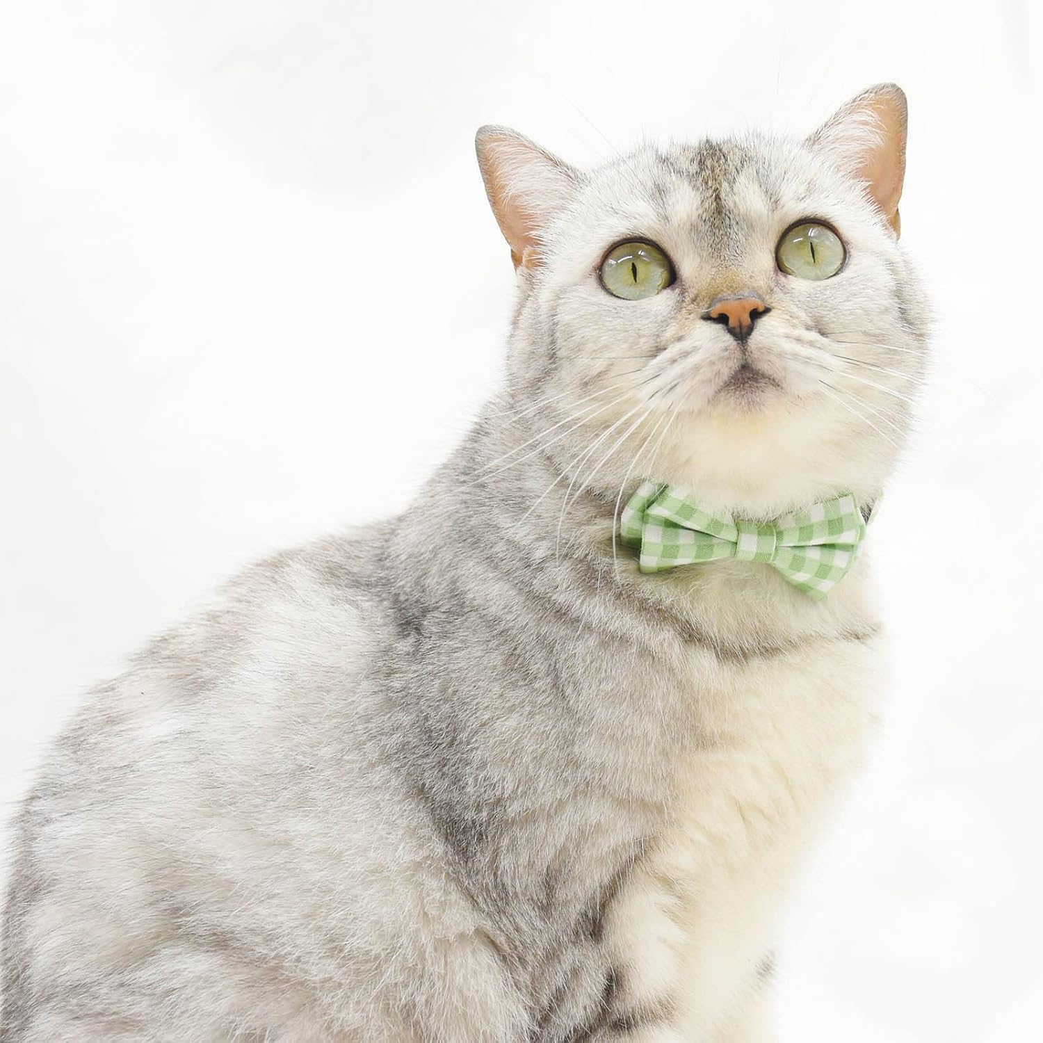 Bowtie Cat Collars Breakaway with Bell, Adjustable Cute Kitty Collars Safety Buckle Kitten Collar for Cat Puppy 7.5-11in (Green Plaid)