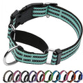 Martingale Dog Collar, Adjustable Nylon Reflective Collar with Quick Release Buckle (Apple Green, Small)