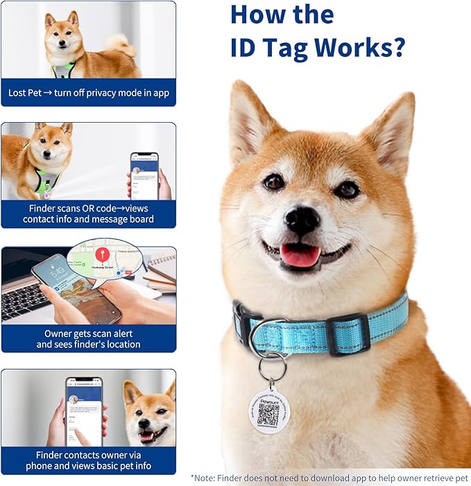 Reflective Dog Collar for Medium Dogs with Dog Tags Personalized & Quick Release Buckle, Adjustable and Comfortable Nylon Pet Collar, Blue