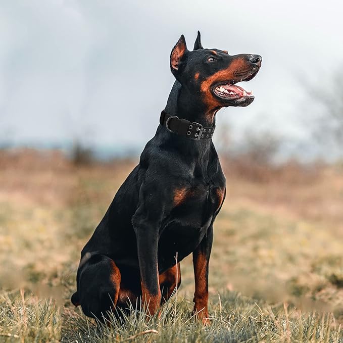 Tactical Dog Collar Military Adjustable Dog Collars Soft Nylon Training Collar with Patch Heavy Duty Metal Buckle Collars for Medium Large Dogs (Black-1, L)