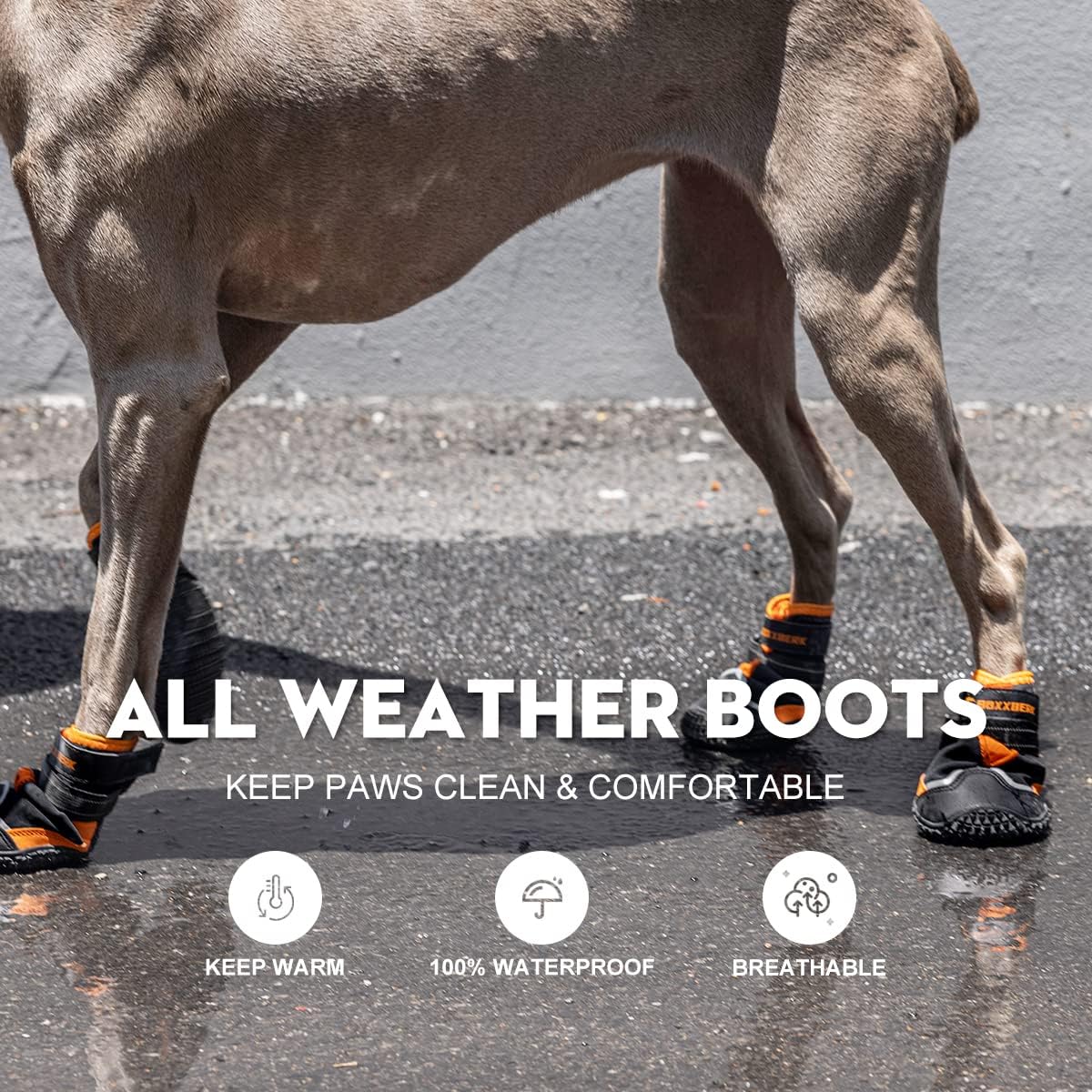 Dog Shoes for Large Dogs,Waterproof Dog Booties for Hot Pavement Winter Snow,Anti-Slip Dog Boots Paw Protector with Reflective Strips for Outdoor Walking Hiking (Black,2.55")