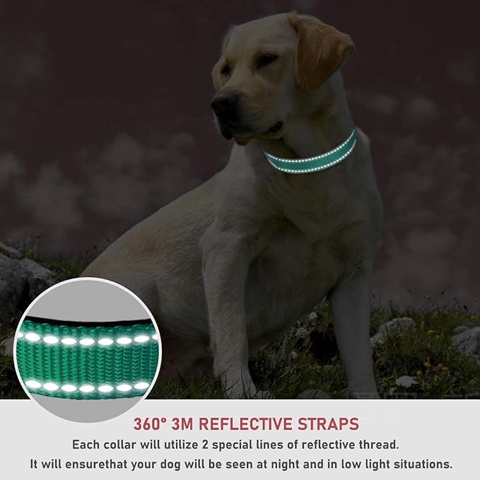 Reflective Dog Collar with Buckle Adjustable Safety Nylon Collars for Small Medium Large Dogs, Green M