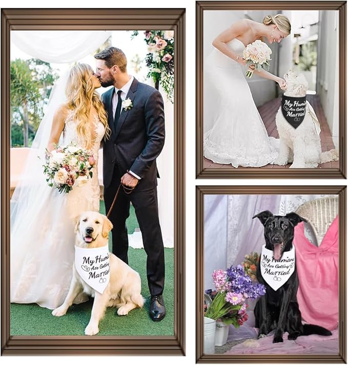 SZEE 2 Pack My Humans are Getting Married Dog Bandanas, Wedding or Engagement Gift for Couples, Dog Wedding Bandanas, Bridal Shower Gifts for Bride, Engagement Party Decorations (White & Black, XL)