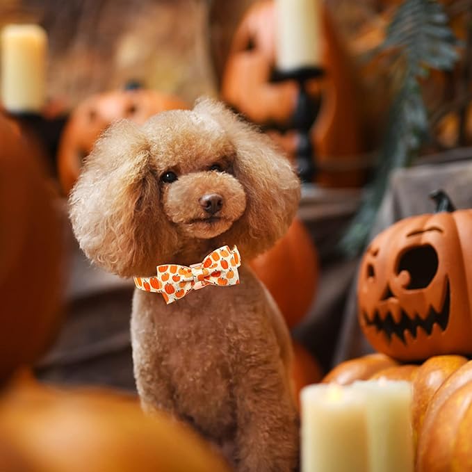 Dog Collar - Halloween Pumpkin Bowtie Pet Collar Gift Soft Bow Collar Pet Adjustable Metal Buckle Dog Collar for Medium Dogs